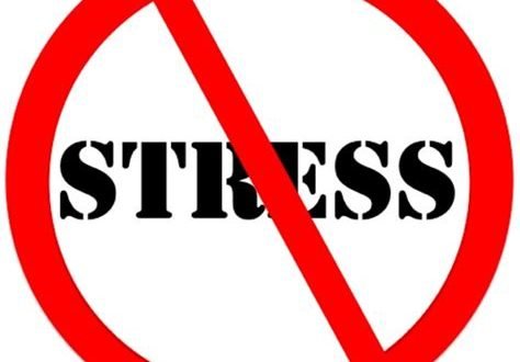 Долгосрочная стратегия No Stress для Форекс